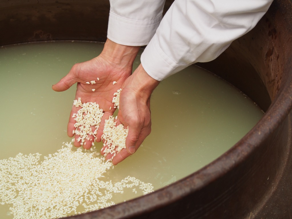 九州庄分酢無肥料無農薬自然栽培天然菌仕込み純米酢